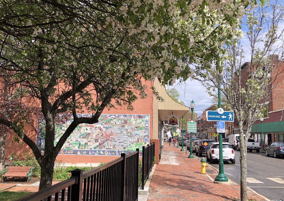 Blooming Apple Trees Along Downtown Water Street Sidewalks